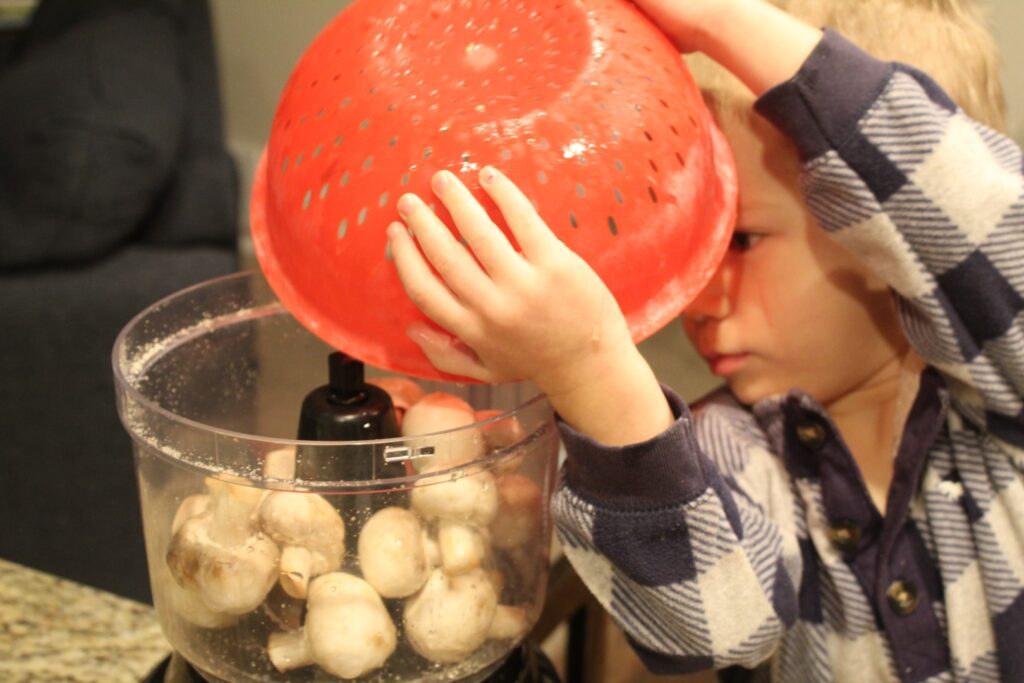 Boy dumping mushrooms into a food processor.