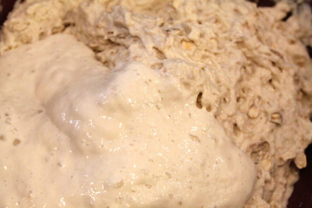 Sour dough starter on top of honey oat dough.