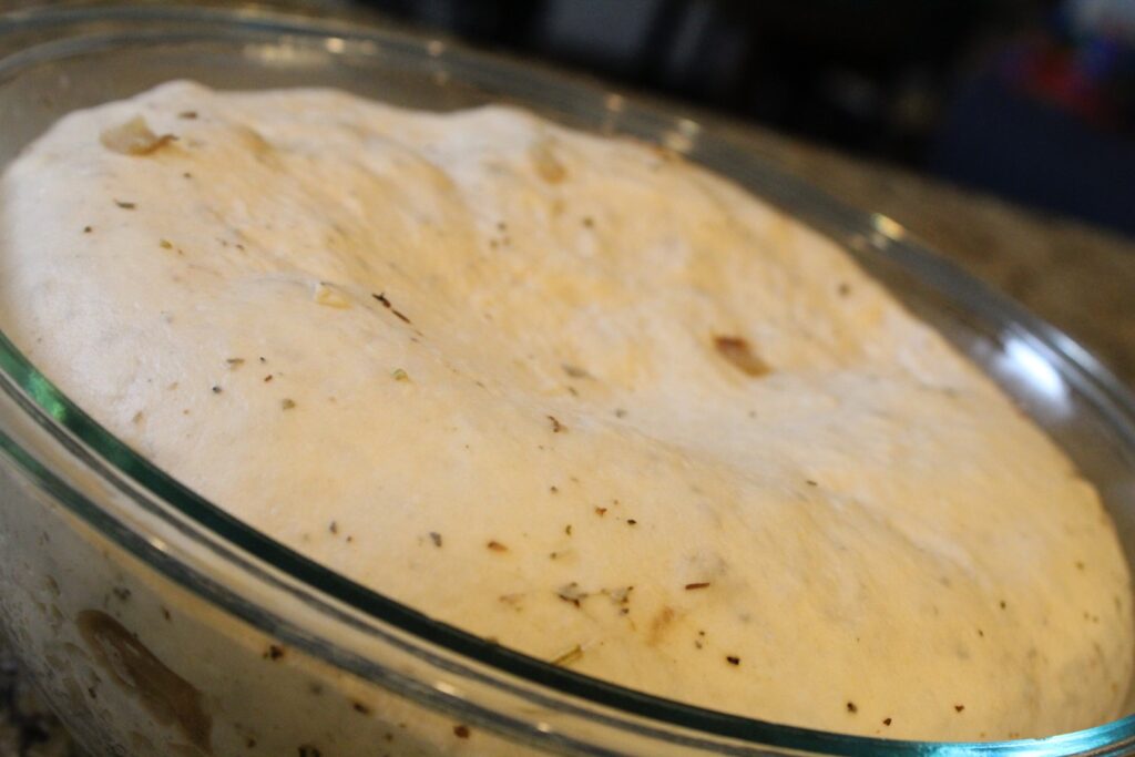 Risen onion bagel dough.