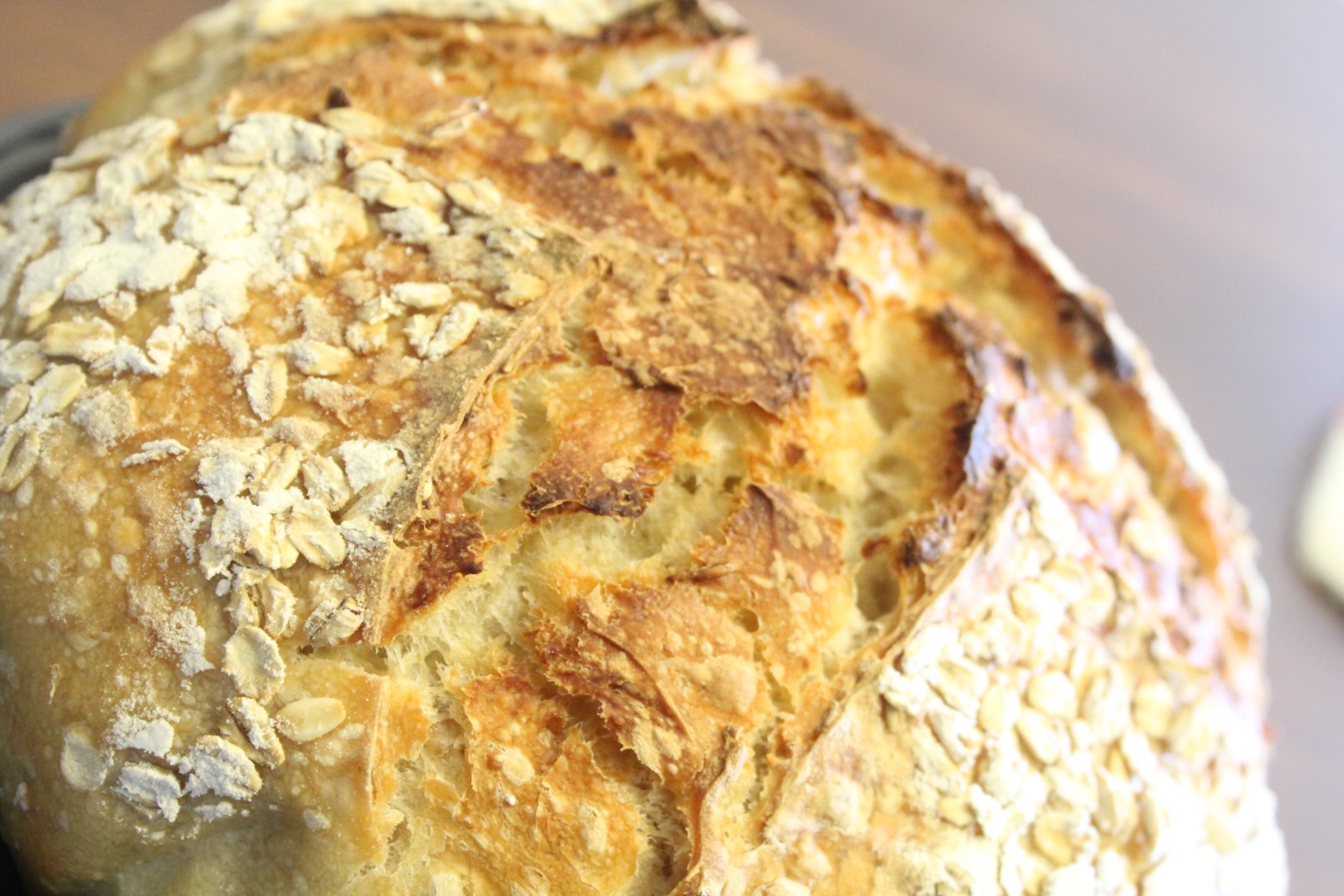 Sourdough Honey Oat Artisan Bread