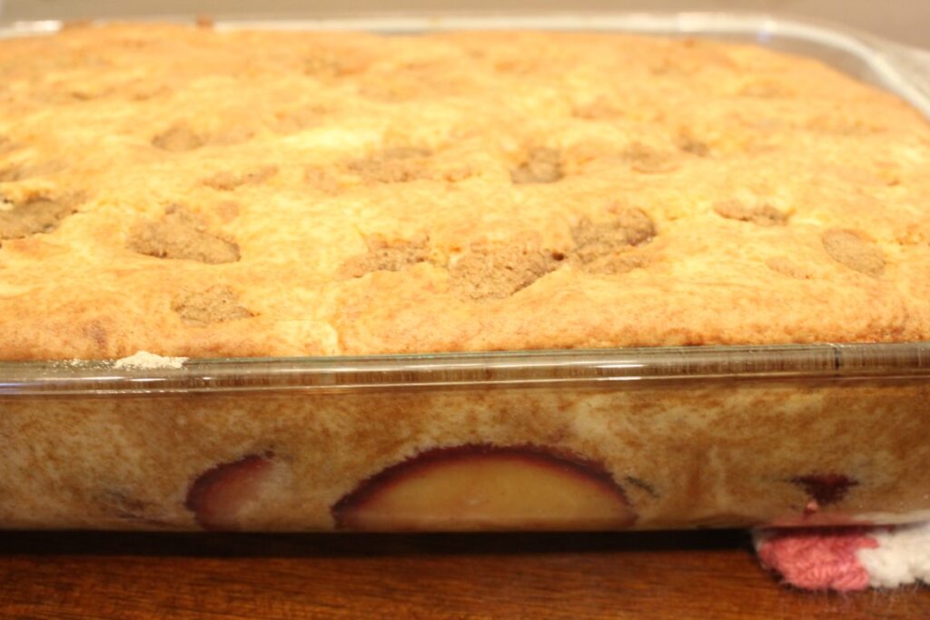 Baked sourdough discard plum cobbler.