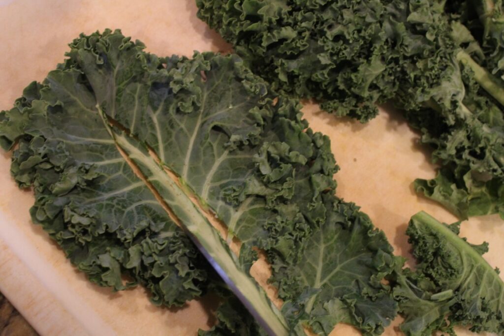 Leaf of kale with stem cut out.