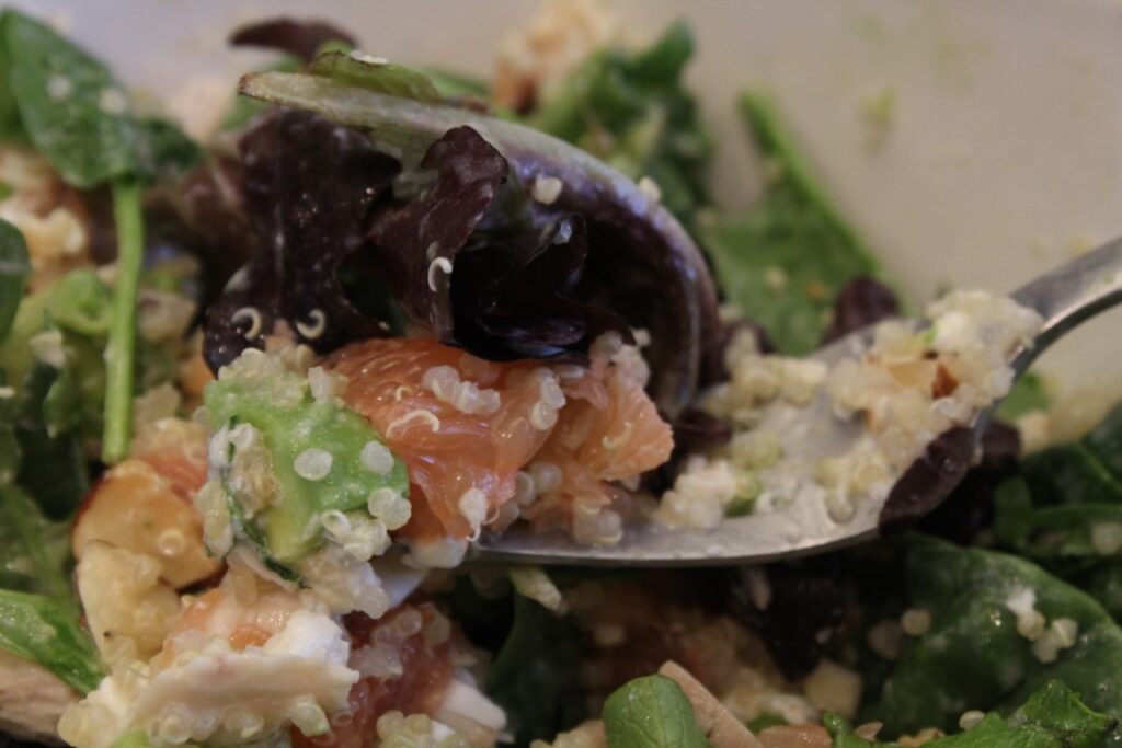 Fork of salad, grapefruit, quinoa, and avocado.