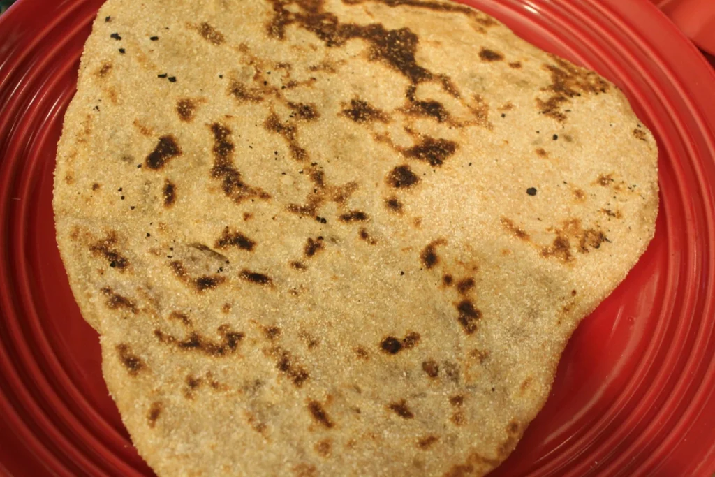 piece of sourdough sweet naan.