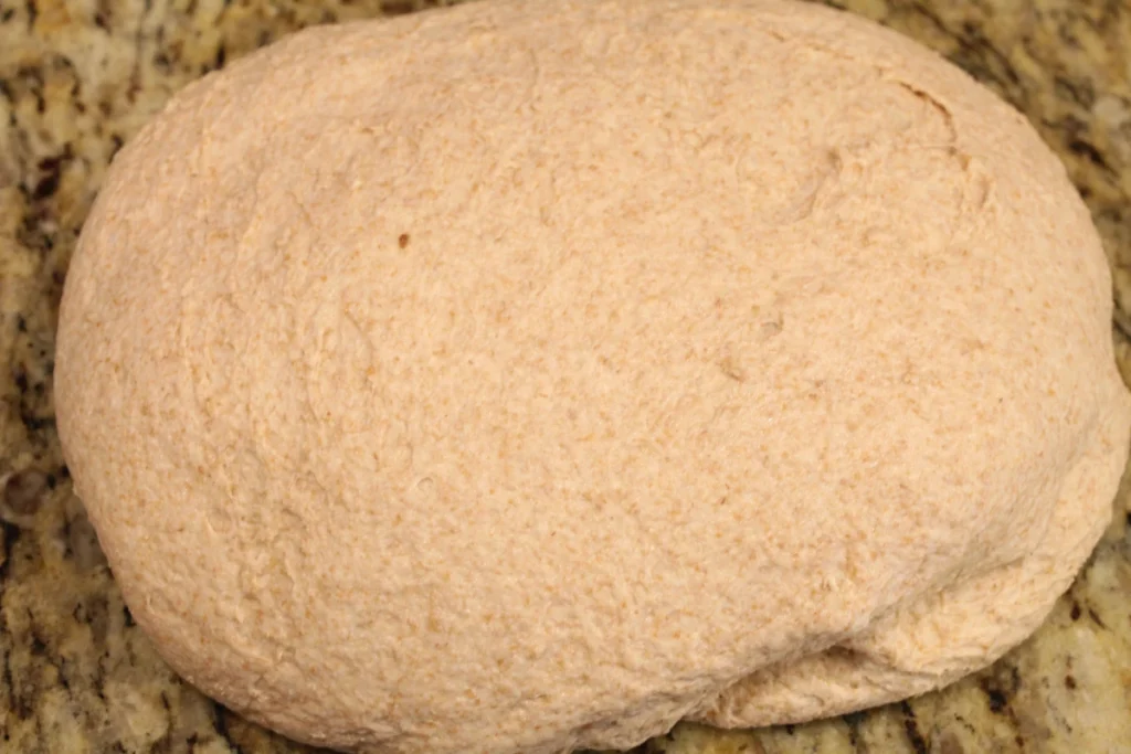 sourdough naan dough.