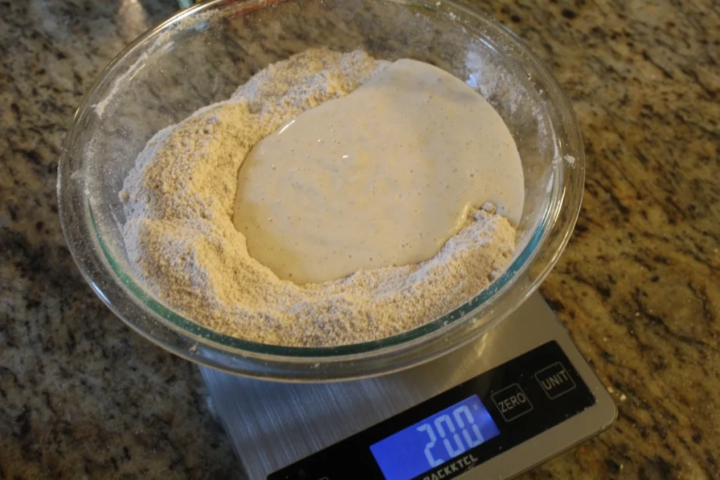 Adding sourdough starter to a bowl of fresh ground wheat and barley.