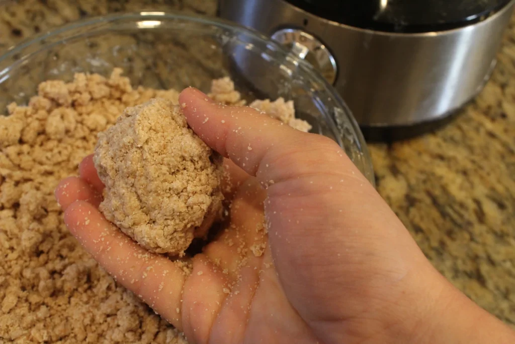ball of sourdough Grape-nut dough in a hand
