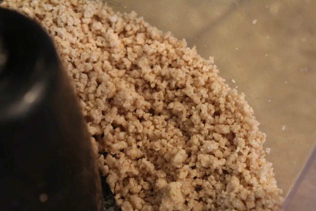 Sourdough grape-nut dough, food processed into "nuts".