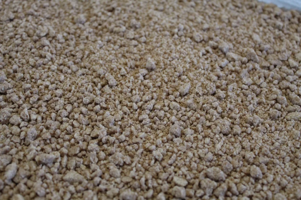 Tray of raw sourdough grape-nuts.